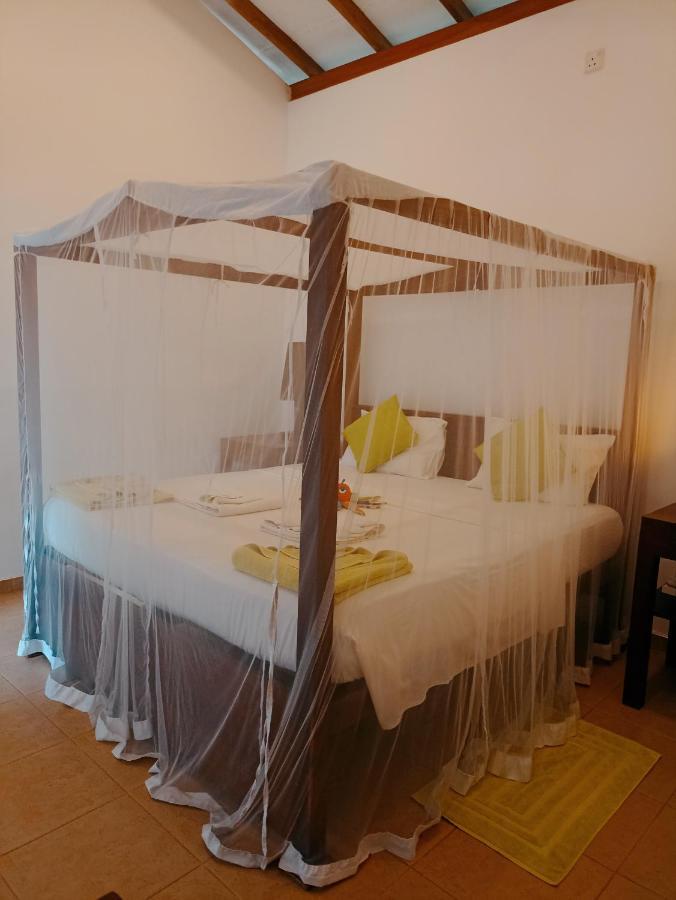 Beach House Kalukatiya - Family Villa, Seaview Room, Garden Room ディックウェラ エクステリア 写真