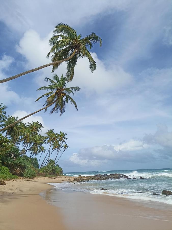 Beach House Kalukatiya - Family Villa, Seaview Room, Garden Room ディックウェラ エクステリア 写真