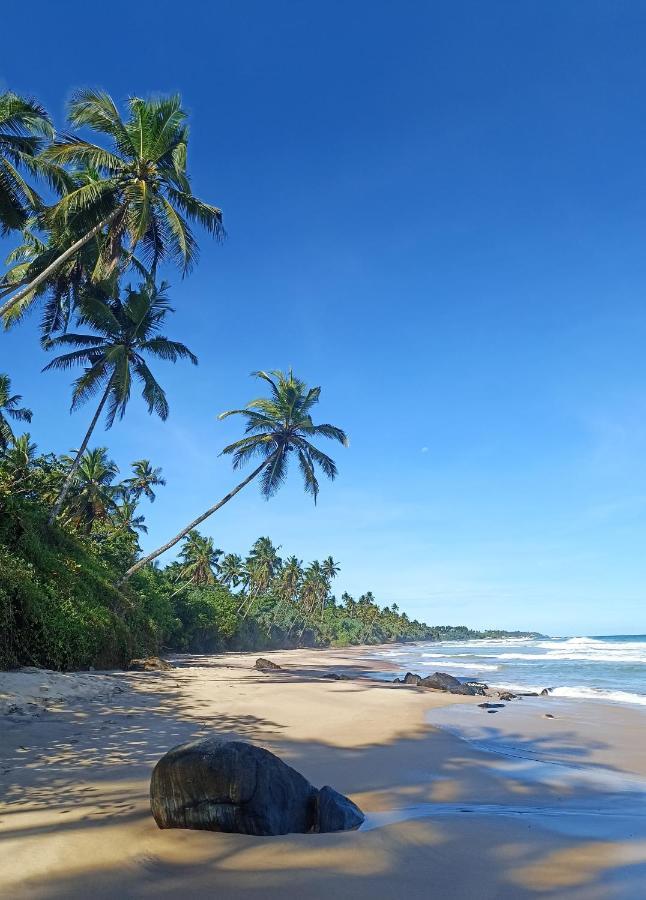 Beach House Kalukatiya - Family Villa, Seaview Room, Garden Room ディックウェラ エクステリア 写真