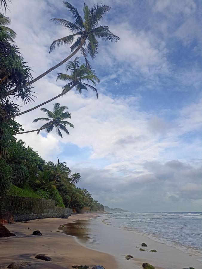 Beach House Kalukatiya - Family Villa, Seaview Room, Garden Room ディックウェラ エクステリア 写真