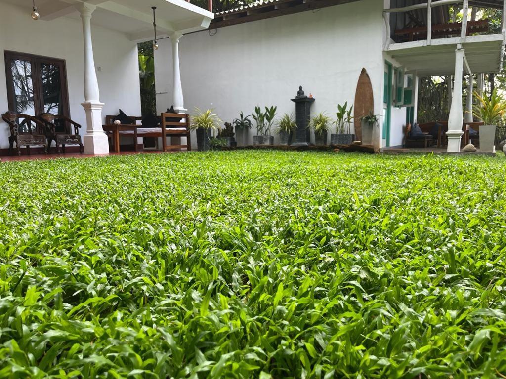 Beach House Kalukatiya - Family Villa, Seaview Room, Garden Room ディックウェラ エクステリア 写真