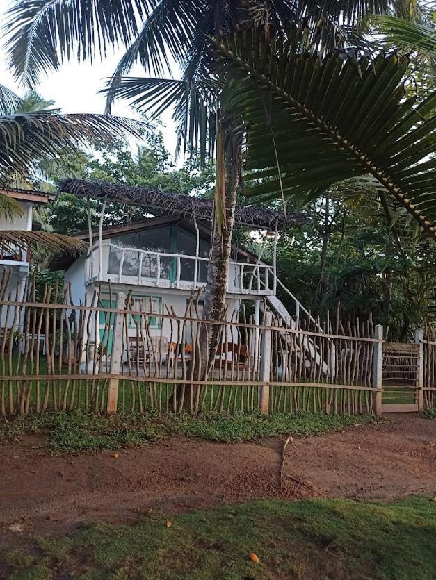 Beach House Kalukatiya - Family Villa, Seaview Room, Garden Room ディックウェラ エクステリア 写真