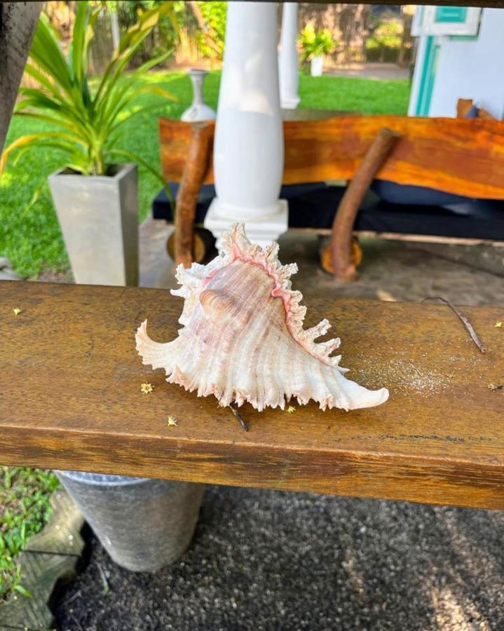 Beach House Kalukatiya - Family Villa, Seaview Room, Garden Room ディックウェラ エクステリア 写真