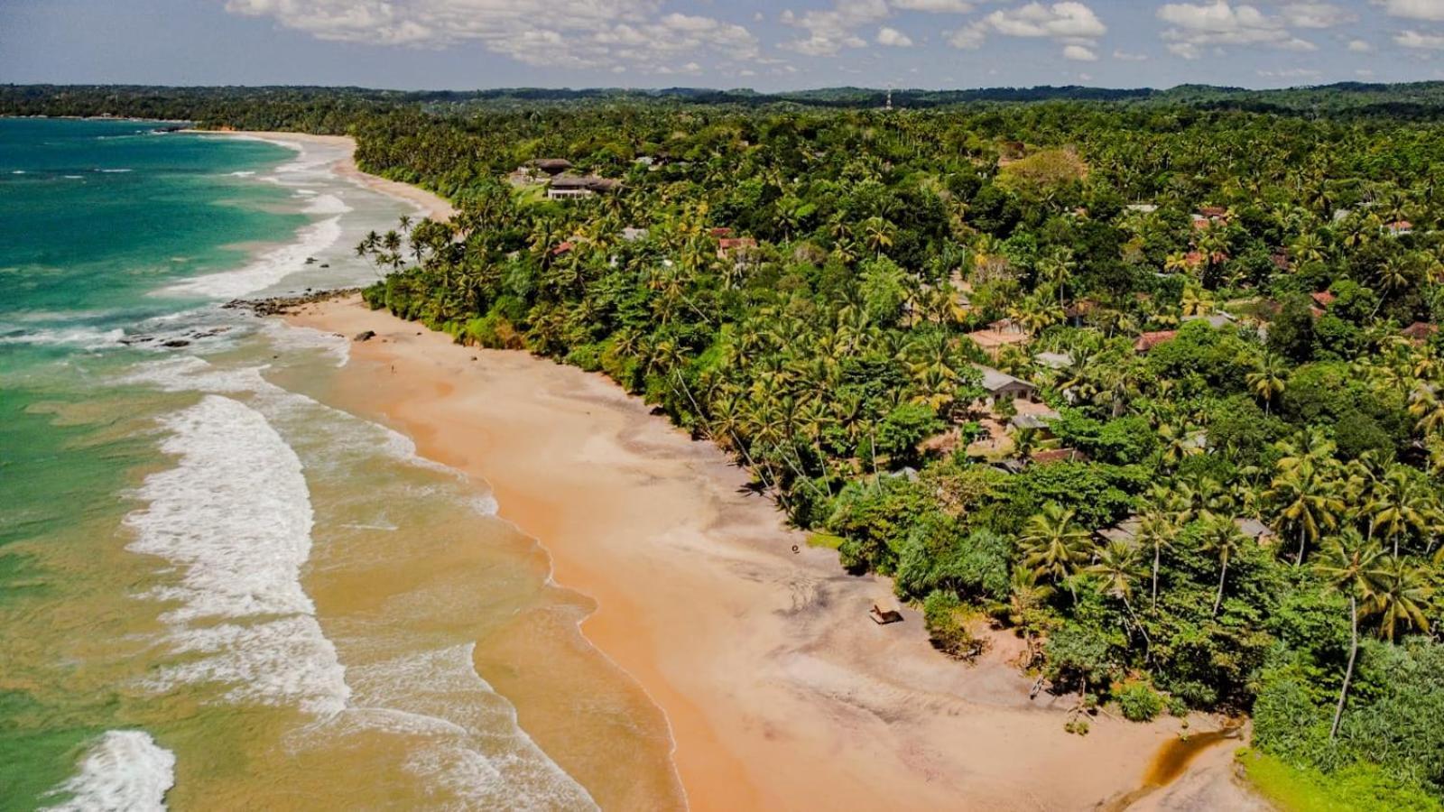 Beach House Kalukatiya - Family Villa, Seaview Room, Garden Room ディックウェラ エクステリア 写真