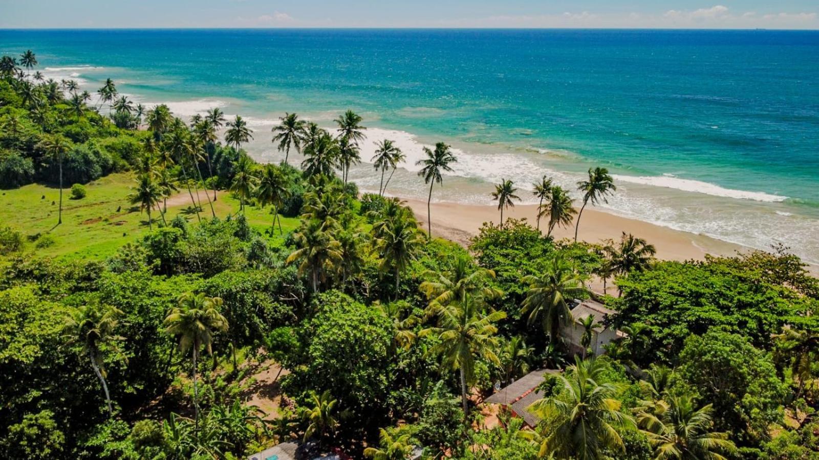 Beach House Kalukatiya - Family Villa, Seaview Room, Garden Room ディックウェラ エクステリア 写真