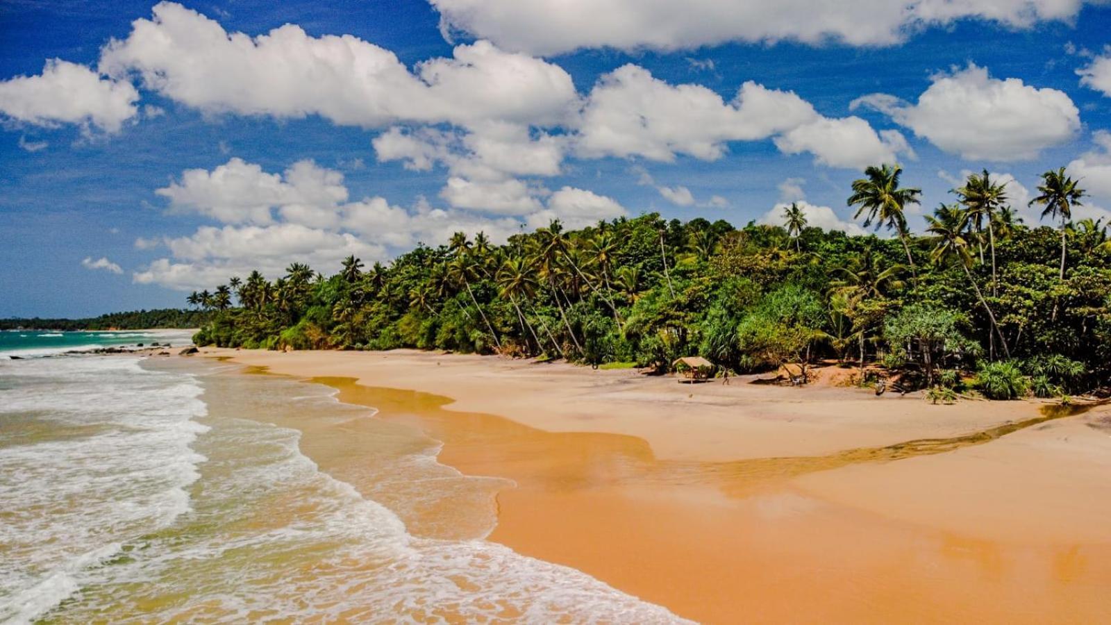 Beach House Kalukatiya - Family Villa, Seaview Room, Garden Room ディックウェラ エクステリア 写真