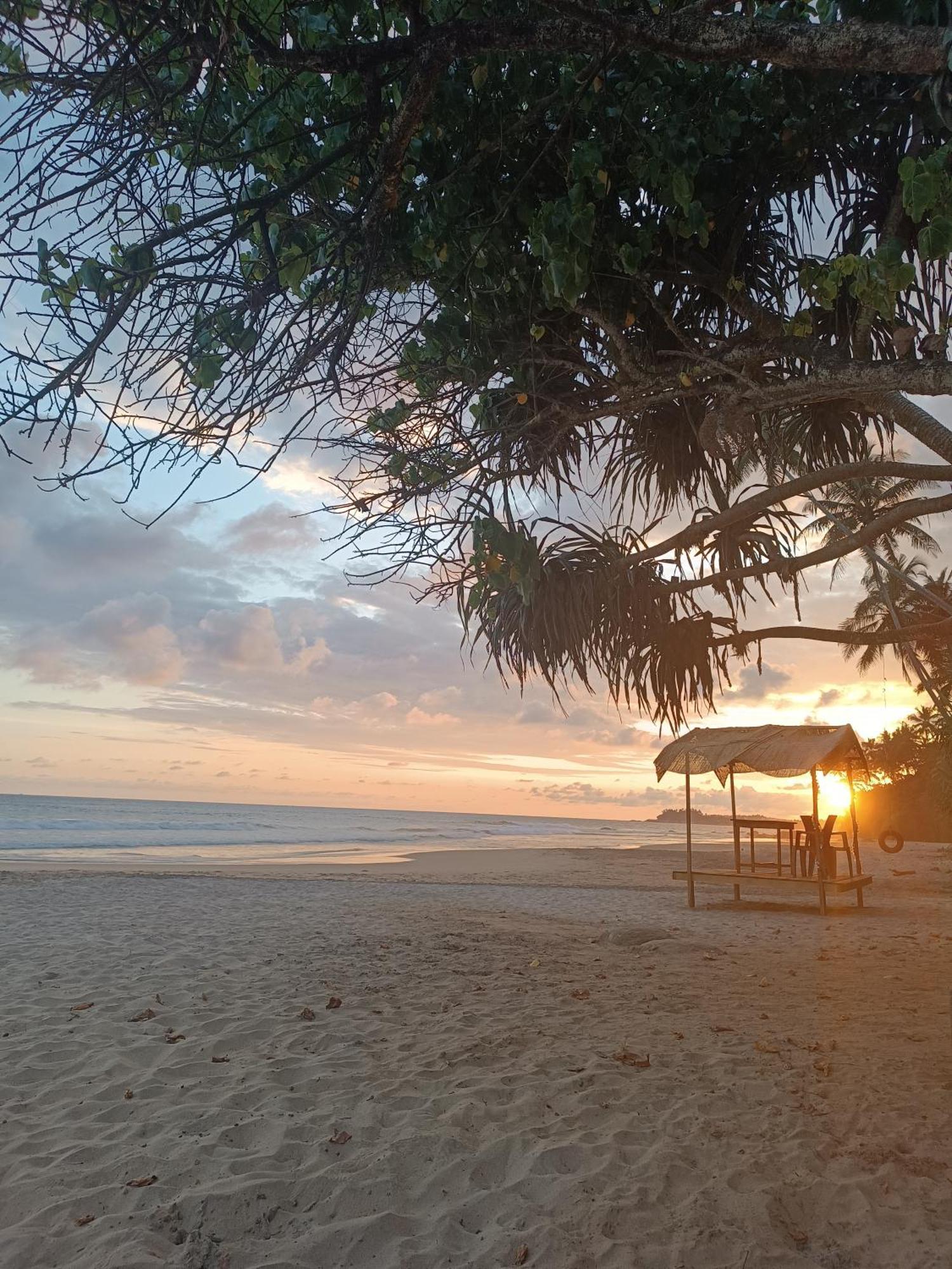 Beach House Kalukatiya - Family Villa, Seaview Room, Garden Room ディックウェラ エクステリア 写真