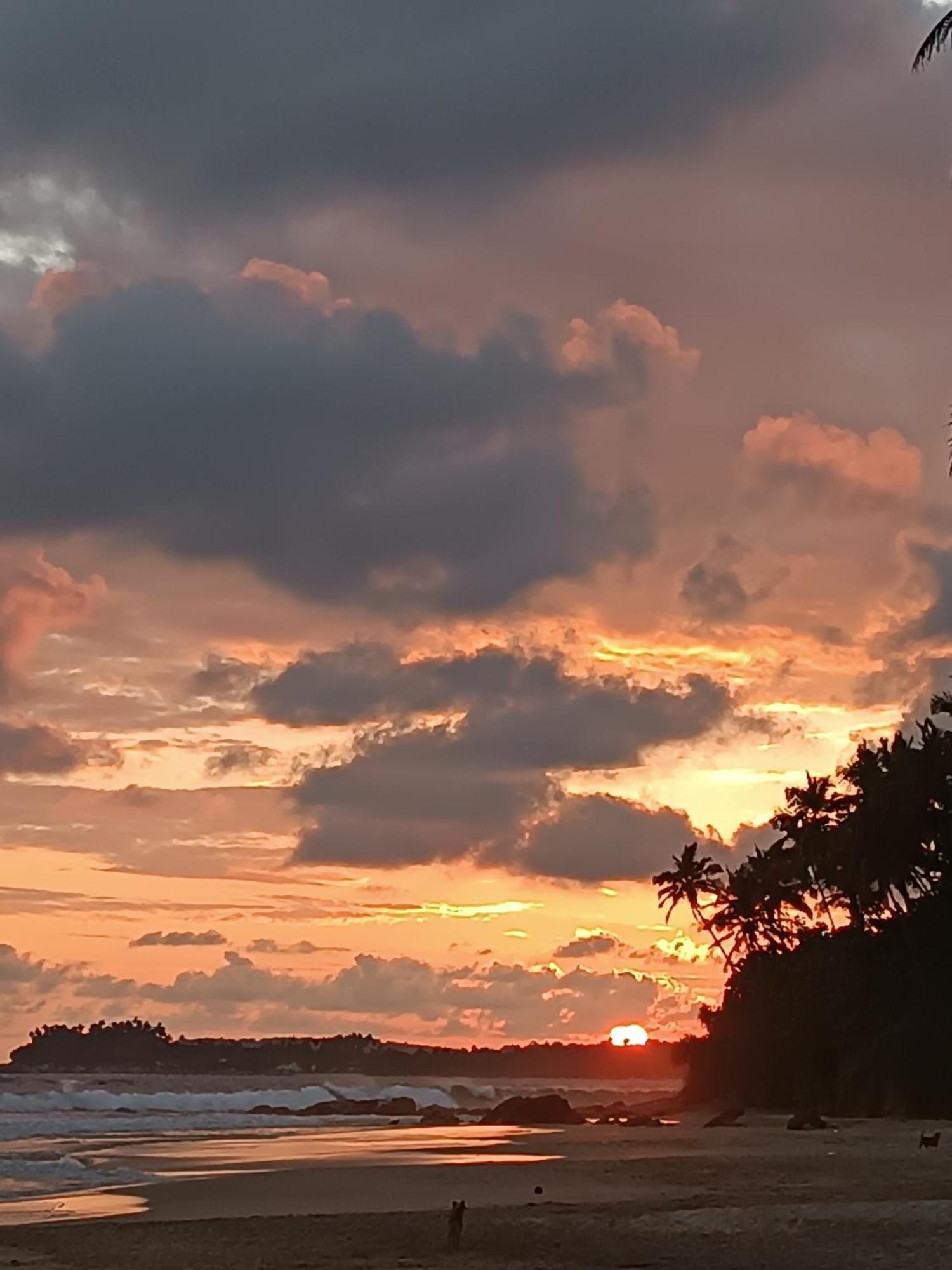 Beach House Kalukatiya - Family Villa, Seaview Room, Garden Room ディックウェラ エクステリア 写真