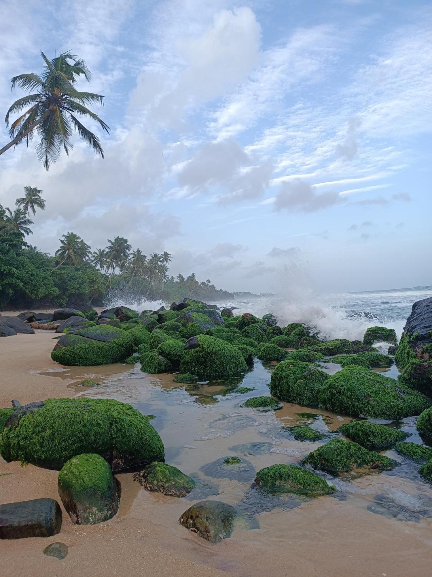 Beach House Kalukatiya - Family Villa, Seaview Room, Garden Room ディックウェラ エクステリア 写真