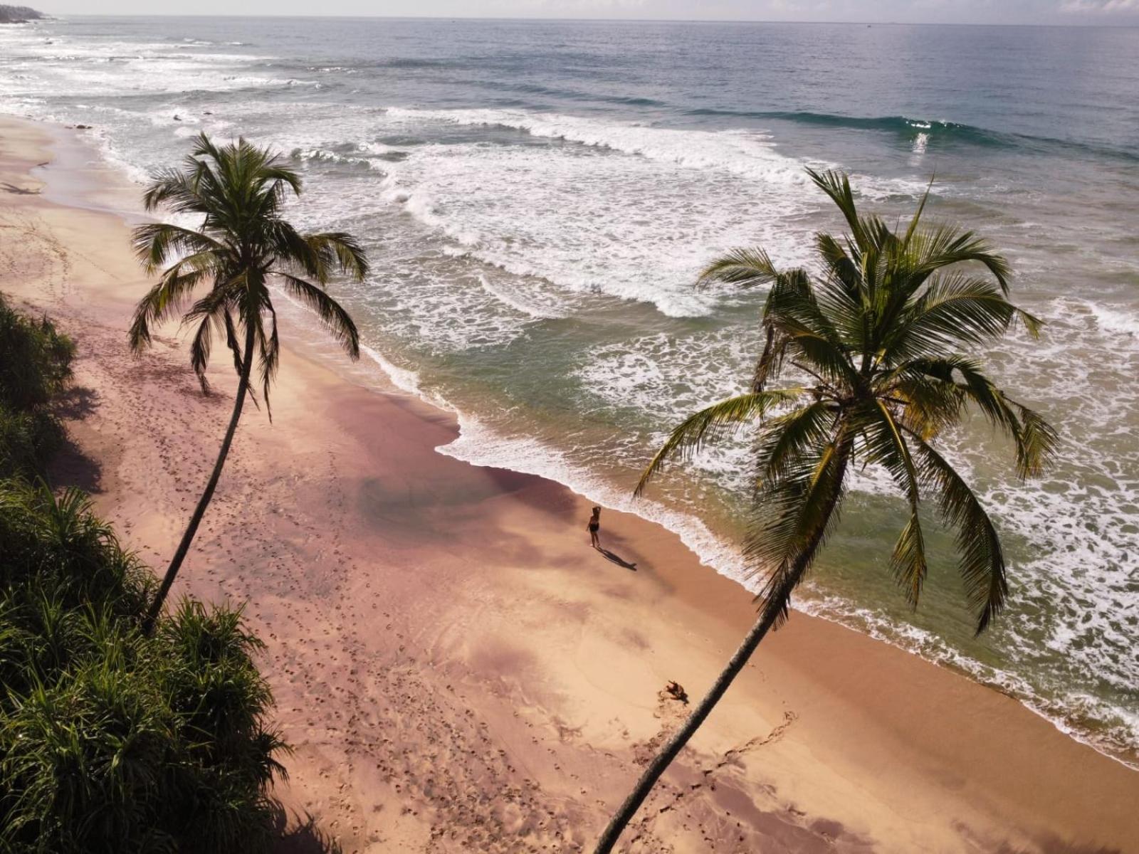 Beach House Kalukatiya - Family Villa, Seaview Room, Garden Room ディックウェラ エクステリア 写真